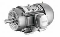 ELECTRIC MOTOR SIEMENS Nema Electric Motor Siemens